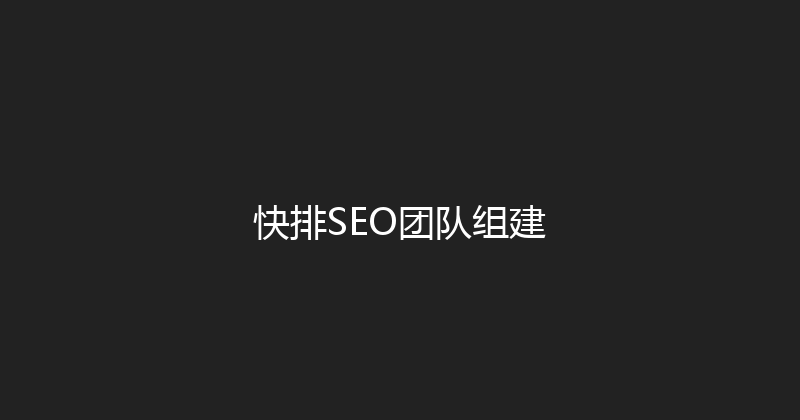 快排SEO团队组建 封面图