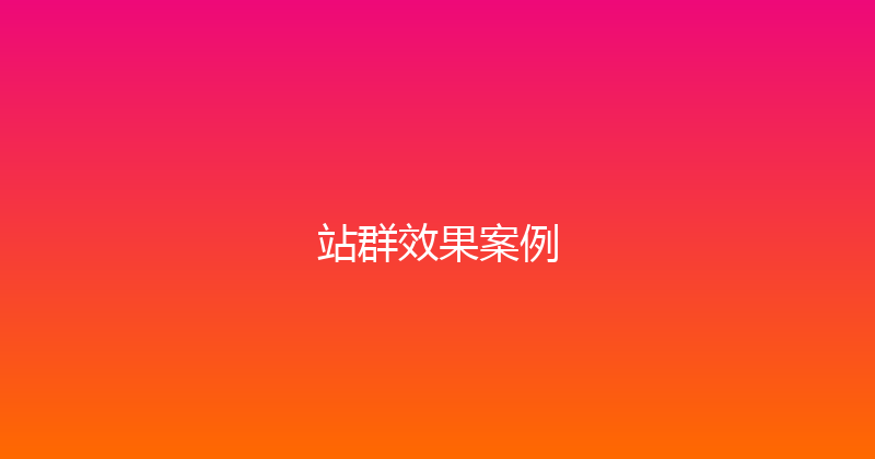 站群效果案例 封面图