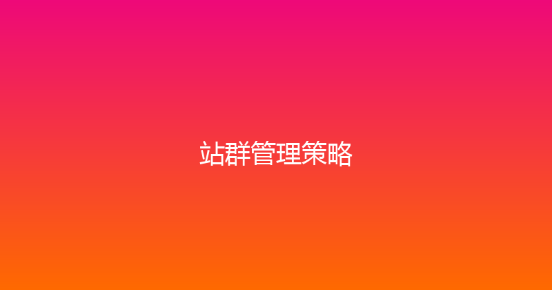 站群管理策略 封面图