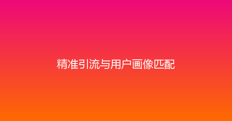 精准引流与用户画像匹配 封面图