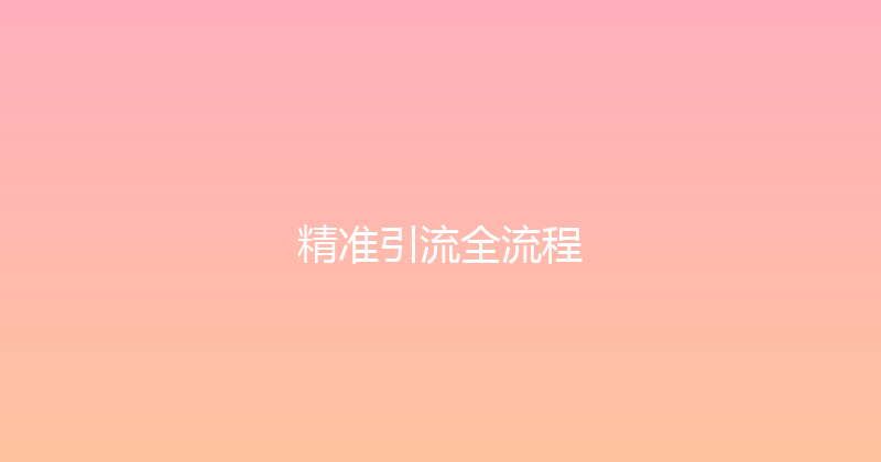 精准引流全流程 封面图
