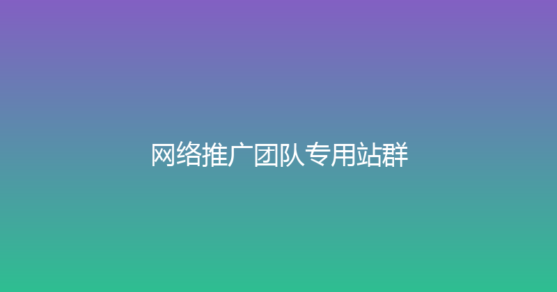 网络推广团队专用站群 封面图