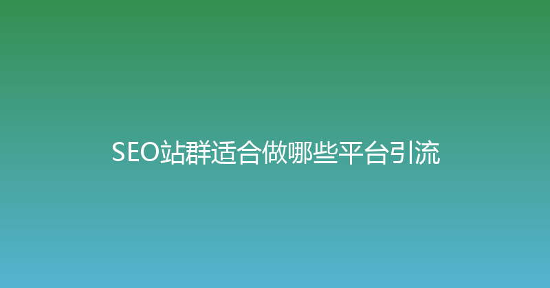 SEO站群适合做哪些平台引流 封面图